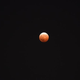 Illustration for article titled Today's Lunar Eclipse Looked Spectacular